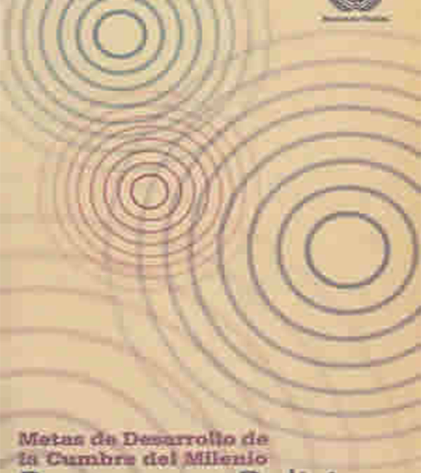Metas de Desarrollo de la Cumbre del Milenio: Progreso en Bolivia, primer Informe de progreso 2002