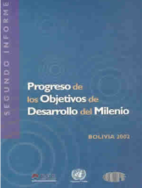 Progreso de los Objetivos de Desarrollo del Milenio, segundo Informe de progreso 2002