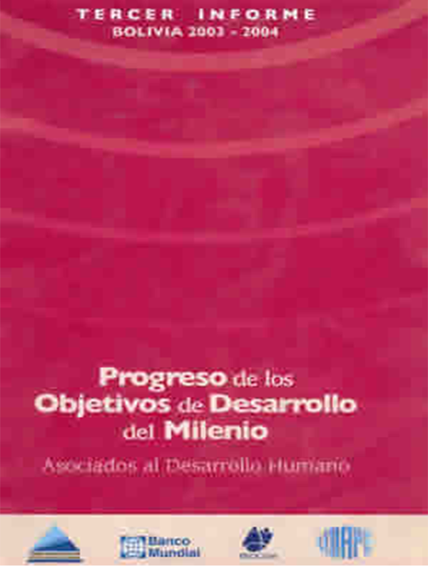 Progreso de los Objetivos de Desarrollo del Milenio, tercer informe 2003 – 2004